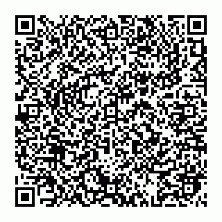 vCard 74992704381
