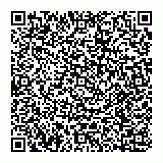 vCard 74992704387