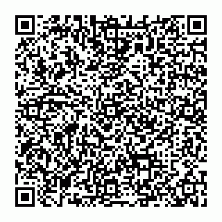 vCard 74992704391