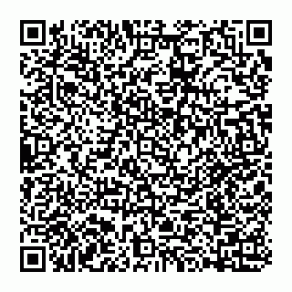 vCard 74992704393