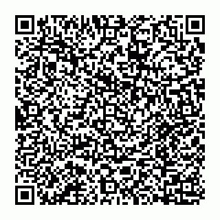 vCard 74992704413