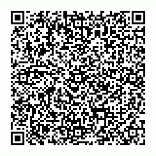vCard 74992704427