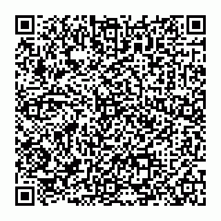 vCard 74992711031