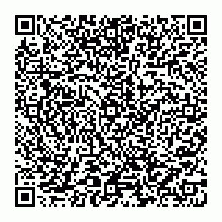 vCard 74992711060
