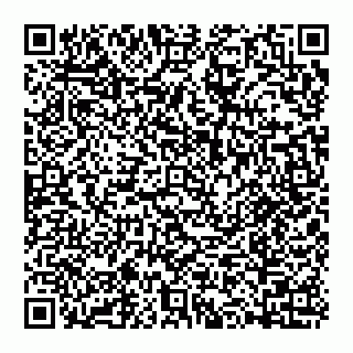 vCard 74992711080