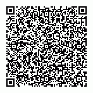 vCard 74992713387