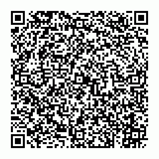 vCard 74992713689