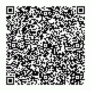 vCard 74992713702