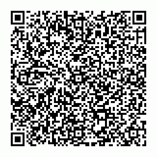 vCard 74992713704