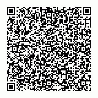 vCard 74992713711