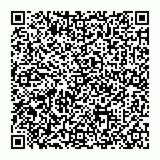 vCard 74993016033
