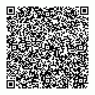 vCard 74993030201