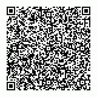 vCard 74993033084