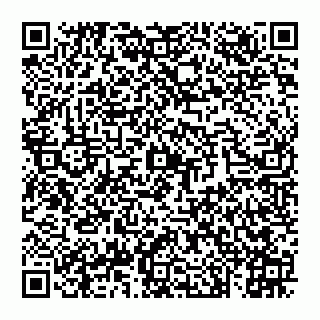 vCard 74993033203