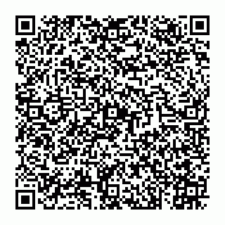 vCard 74993033289