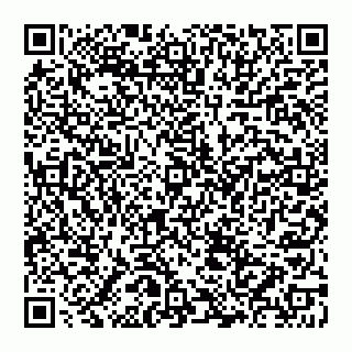 vCard 74993033295