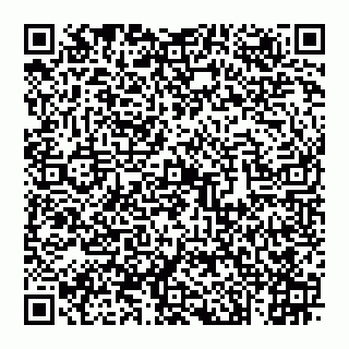 vCard 74993202071