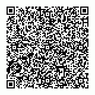 vCard 74993202079