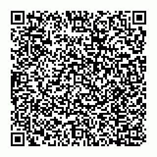 vCard 74993202329