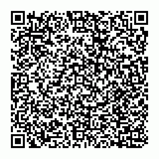 vCard 74993202381