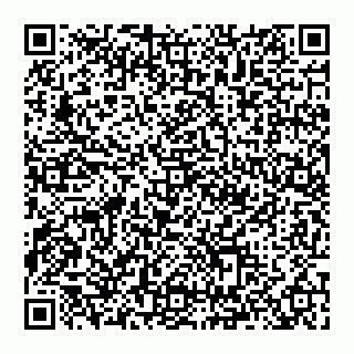 vCard 74993210799