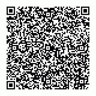 vCard 74993249602