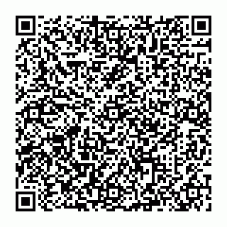 vCard 74993249603