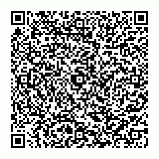vCard 74993249633