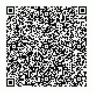 vCard 74993249663