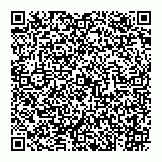 vCard 74993249699