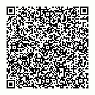 vCard 74993249707