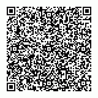 vCard 74993249711