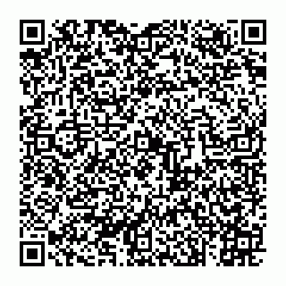 vCard 74993249713