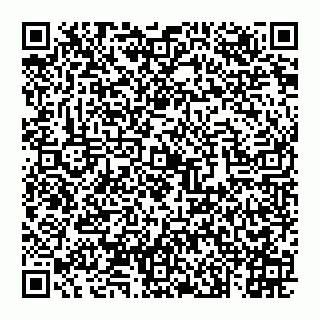 vCard 74993249731