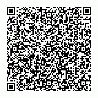 vCard 74993249733