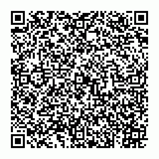 vCard 74993249737