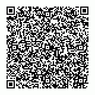 vCard 74993249738