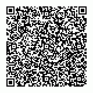 vCard 74993249793