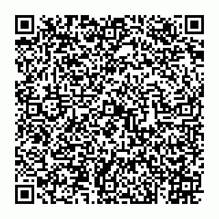 vCard 74993249794