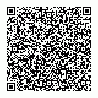 vCard 74993249795