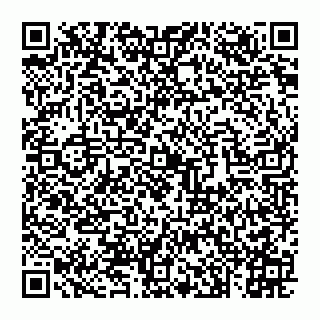 vCard 74993249799