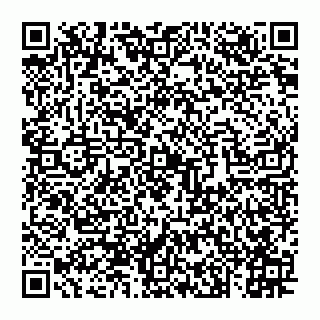 vCard 74993249802