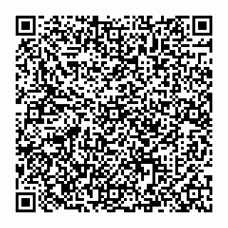 vCard 74993249803