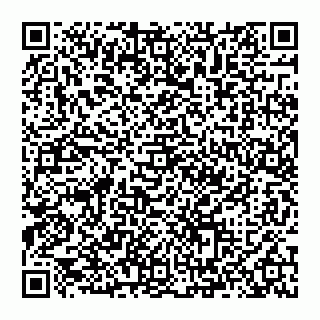 vCard 74993249811