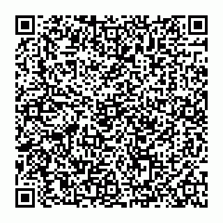 vCard 74993249876