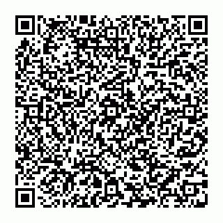 vCard 74993249899