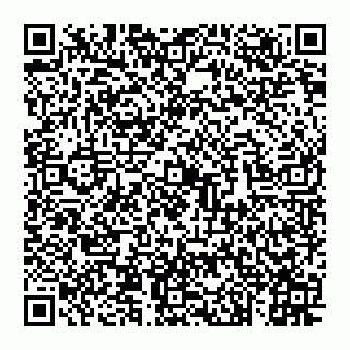 vCard 74993249905