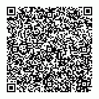 vCard 74993249911