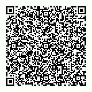 vCard 74993249913