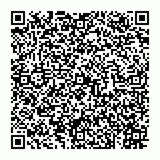 vCard 74993249915
